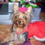 th 100 1057
PENNY