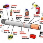 what is inside a cigarette