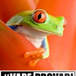 VapeProvari