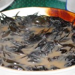 Scorpionsoup