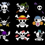 One Piece jolly roger mugiwara