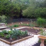 my garden
