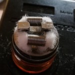 cricket_dual_avocado