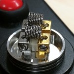 dead_rabbit_coiled