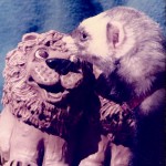 Rachael (and lion)