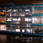 Organization