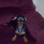 Miss Dinky