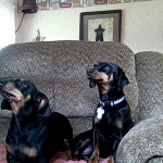 Miss Dinky and Max