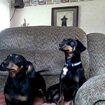Miss Dinky and Max