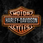 hd1 3