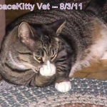 spacekitty3