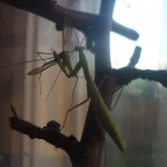 DSCF4097