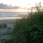 Newport Oregon 1