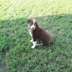 Roxy