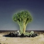 nuclearbroccoliavatar