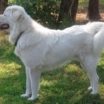 My big boy Ben :-)