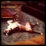 upside down in the middle of the floor snoring like a freight train.