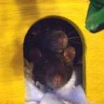 Josephine & Esther