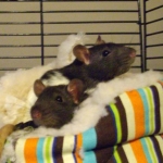 Josephine & Esther