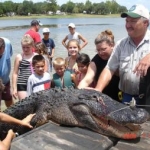 gator3