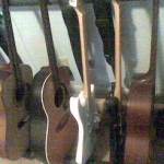 The other women. "Pretty ladies all in a row..."