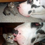 BIG & SMALL