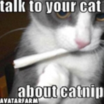 TALK TO YOUR CAT ABOUT CATNIP!