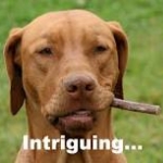 Cigarbabe