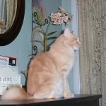 Katie sitting
