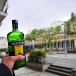 karlovy vary 50
