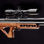edgun1