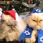 Happy Holidays