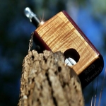 Reo Woodvil
