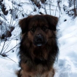 jedinsnow
