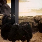 2001apes