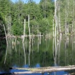 centrecreekpond2scaled
