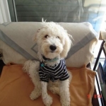 My Boomy