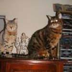 BILD0727