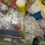 im trying to stop smoking2