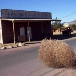 tumbleweed