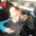 BILD0831