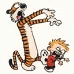 Calvin3