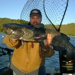 Big Male Channel Cat