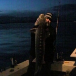 San Pablo Bay Sturgeon