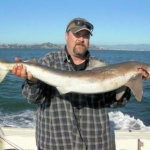 SF Bay 7gill shark