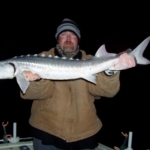 Sturgeon