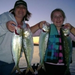 Wife/Daughter American Shad