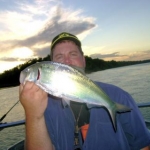 Sac River American Shad