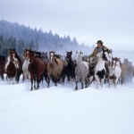 Idaho 5