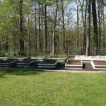 garden beds 001